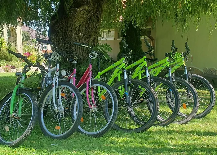 Tamasi Villa- Nyaralohaz *